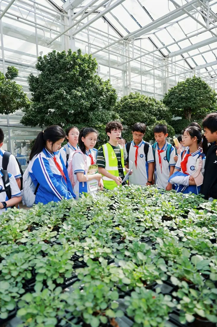 研学活动现场
