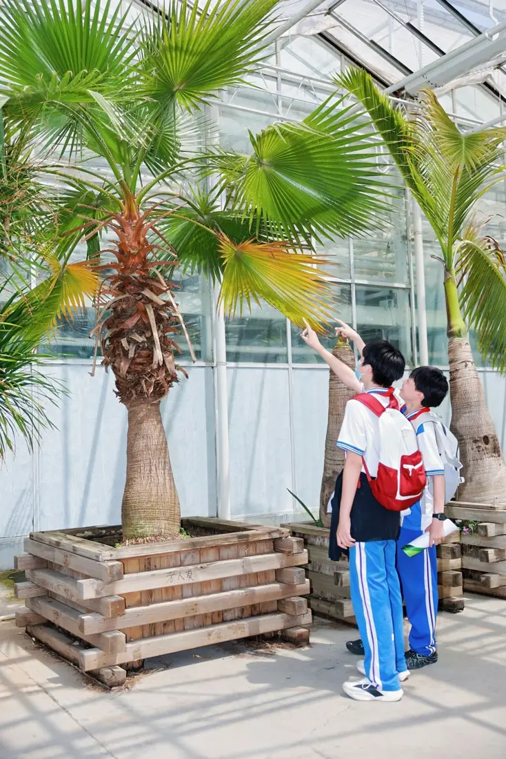研学活动现场