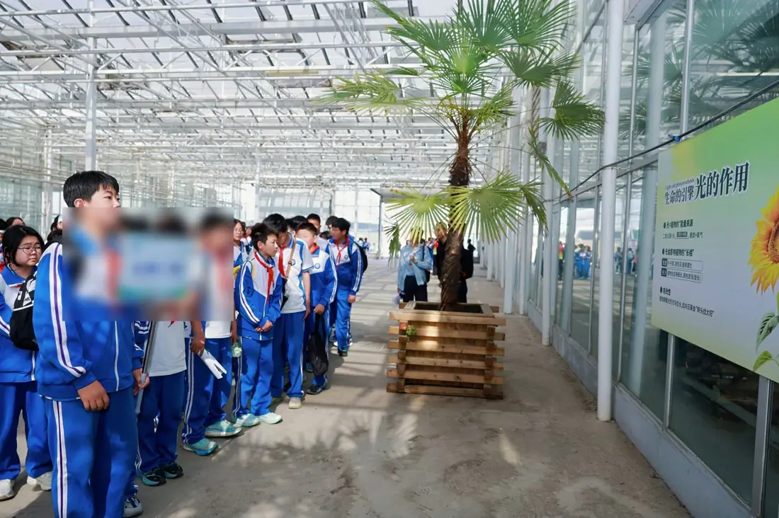 研学活动现场