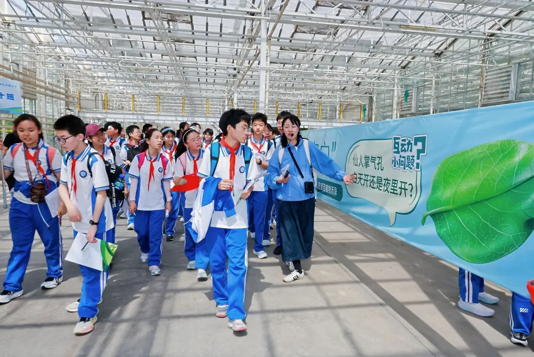 研学活动现场
