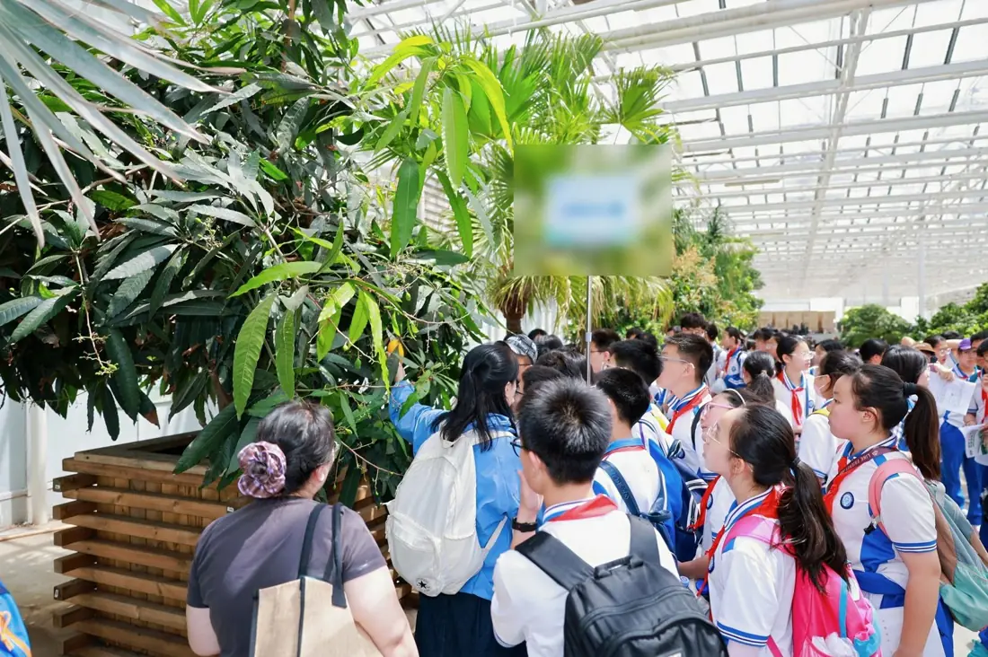 研学活动现场
