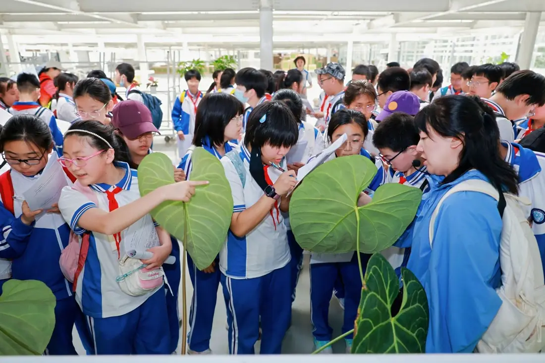 研学活动现场