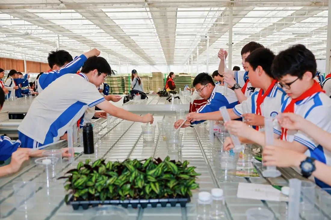 研学活动现场