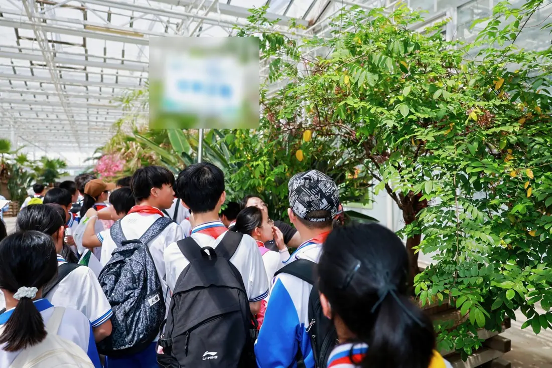 研学活动现场